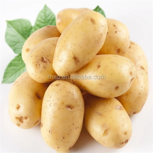 potato purchase specification
