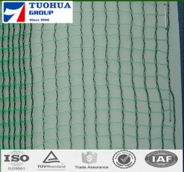 olive net9_.jpg