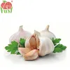 /product-detail/china-wholesale-garlic-price-60732359967.html