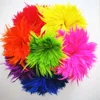High Quality Carnival Strung Coque Saddle Hackle Feather