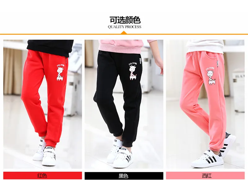 4635331872_1650565748