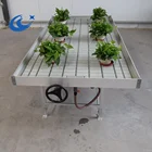 cheap price multi-span film greenhouse ebb flow rolling bench and table for sale