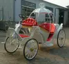 /product-detail/wedding-electric-horse-carriage-519380686.html