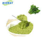 Ecocert certificated Organic Spinach powder
