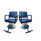 Pengde Fashionable Elegant Style Blue Beauty Styling Salon Hair Barber Chair