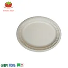 Compostable Biodegradable Bagasse Pulp 10inch Oval Plate