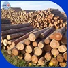 best place to buy lumber best timber for decking outdoors best timber for pool decking