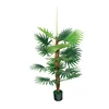 /product-detail/eco-friendly-simulated-plants-1-2m-14-leaves-decorative-bonsai-fan-palm-tree-plant-62183100739.html