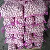/product-detail/import-garlic-price-4-5-6-0-cm-specification-fresh-white-garlic-60491707796.html