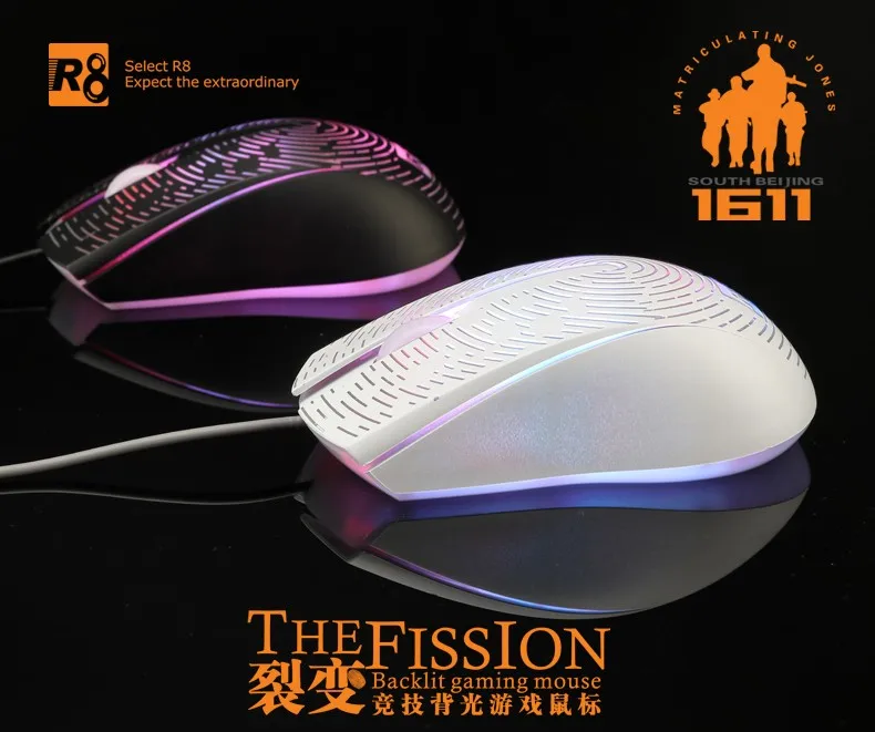 R8 161106.jpg