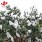 Anti-UV TNT polypropylene non woven fabric fruit protectin bags/ banana mango protection cover bags fabric