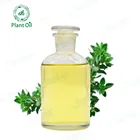 Oil Therapeutic Grade Thyme Red Essential Oil 100% Pure Natural Beauty Oil