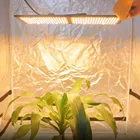 Led Light Led Yuanhui New Product LM301H Led Grow Light Of Samsung QB V3for Flowering Plant