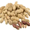/product-detail/iso-haccp-peanut-in-shell-60272933707.html