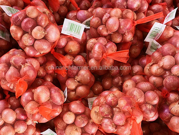 dried chinese red shallot for usa