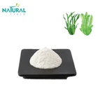 99% food additive sodium alginate powder in bulk supplying
