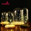 Decorative Different Size Large Display Cloche Bell Jar Transparent Clear Led Warm Light Glass Dome Wood Base For Home Wholesale