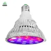 WEEKLED EXW price Horticulture 54W LED Grow Light Red & Blue LED Full Spectrum led growing light lamp for Indoor Plant Growing