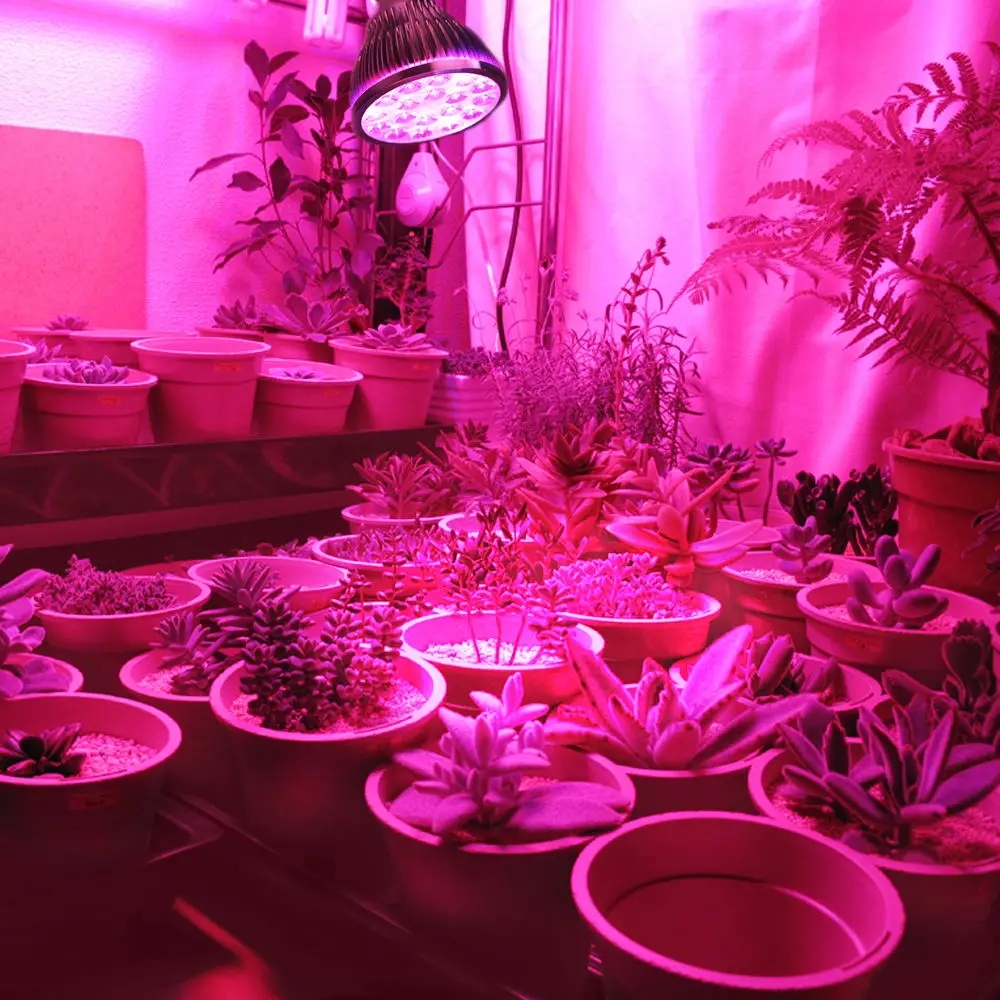 54W 36W LED Grow Light Indoor growing lights Hydroponics growing system For Garden Greenhouse plants Herbs Vegetable Flowers (7)