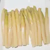 /product-detail/good-quality-seasoned-brine-canned-asparagus-for-sale-60691333515.html