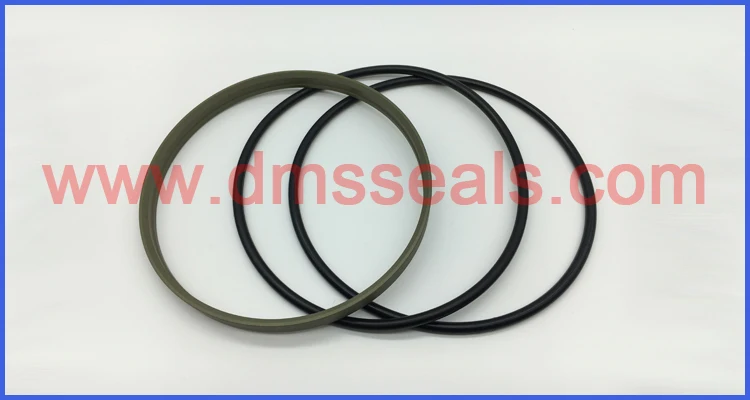 DMS Seals Bulk buy wiper ring for sale for injection molding machine-6