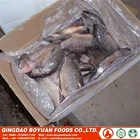 HACCP Fish Tilapia Price #chopa Fish Chinese Factory Whole Round Tilapia 50-100g
