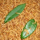 Graphic Customization Feed for Chickens for Yellow Dried Mealworm Feed for Chickens