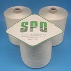 480-860 Twist and waste Yarn Style Mulberry spun silk yarn, pure silk for garment and scarves, SPO