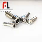Cap Screw Grade 10.9/12.9 Hexagon Socket Head Cap Screw