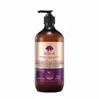 Hair Loss Private Label Pure Moroccan Organic Argan Oil Anti Hair Loss Medicated Best Shampoo