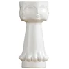 RZLK25-c Milk white surface porcelain human face pot