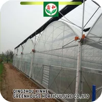 China Manufacturer Muti Span Agricultural Plastic