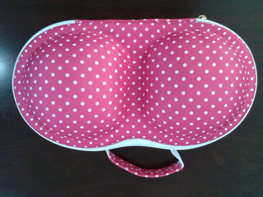 BRA CASE photo.jpg