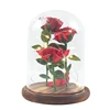 Factory Direct Sales Good Gift Preserved Flower Rose Bouquet In Glass Dome With Led Light