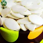Wholesale White Pumpkin Seeds
