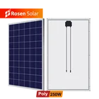 Rosen 12v 100w 150w 200w 250w 300w flexible solar panel price in pakistan