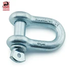 Best Zinc Plated D Shackle of Marine Hardware