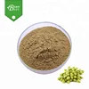 /product-detail/best-quality-beer-hops-flower-extract-hop-strobile-extract-flavone-6--60800729159.html