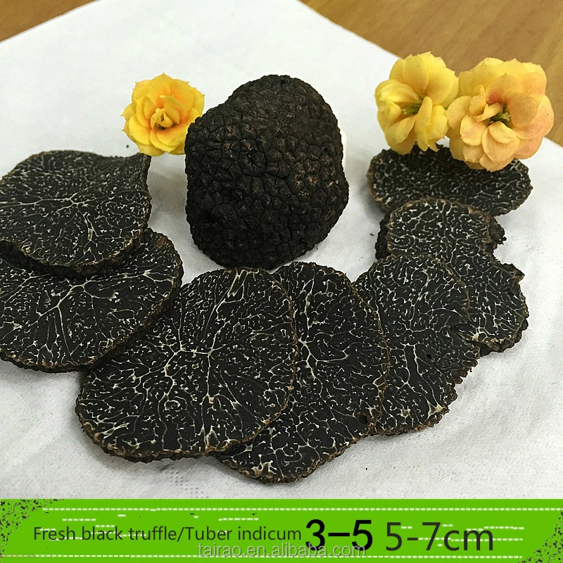 Chinese tuber indicum fresh black truffles desert truffle muchroom wholesale truffle