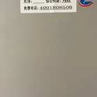 metallic semi-gloss silver powder coating