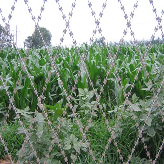 razor barbed wire mesh016.jpg