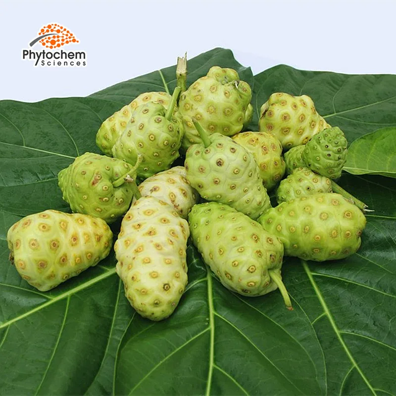 noni2