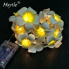 Handmade 20L Battery Powered Plumeria Rubra Flower String Lights/Fairy/Lamp HNL095B