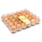 30 holes PVC PET transparent rectangular plastic blister egg tray