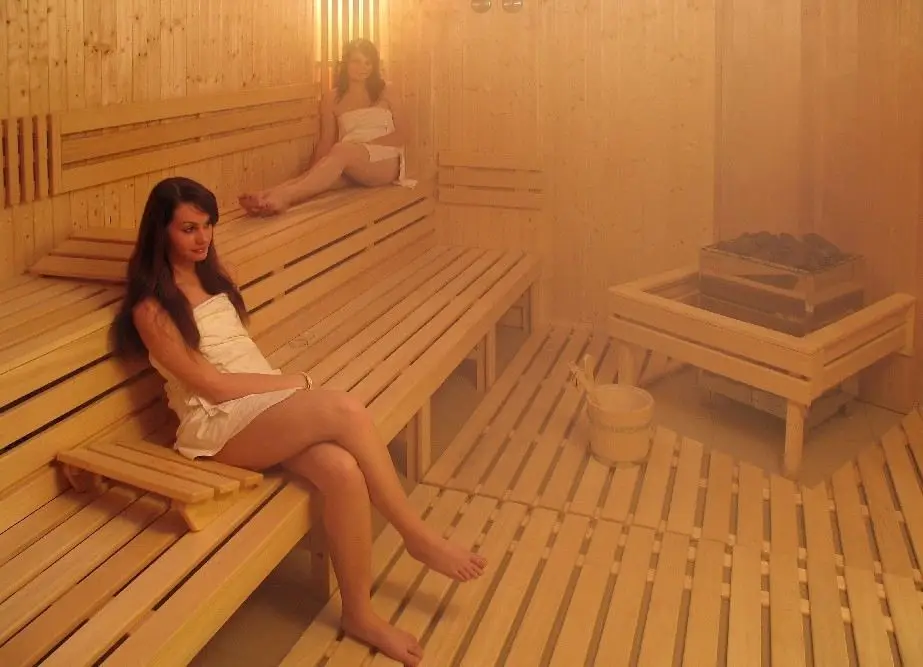 4.5KW 380V Davey sauna equipment sauna heater for sale11103432190.jpg