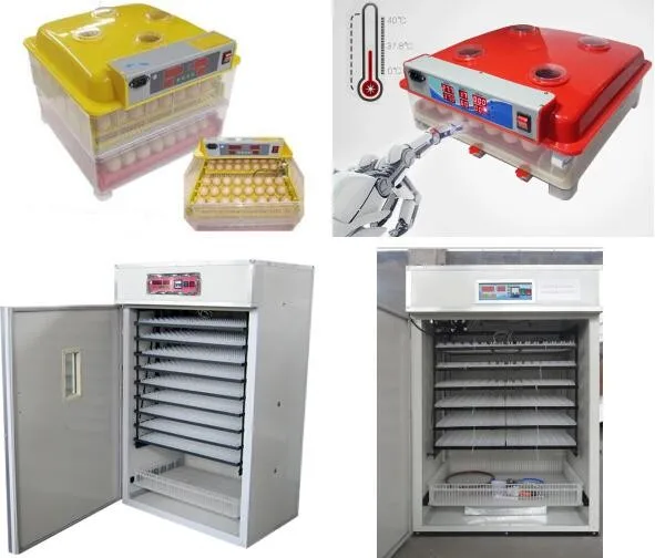 Hot Sale Full Automatic Widely Used Poultry Egg Incubator .jpg