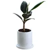 /product-detail/wholesale-painted-white-color-with-black-dots-cement-cylinder-orchid-pot-for-green-plant-62215917930.html
