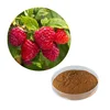 HONGDA Wholesale Raspberry Ketone Powder Raspberry powder Extract