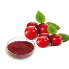 Natural Cranberry extract cranberry powder plant & fruit extract