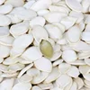 /product-detail/raw-raw-material-supply-of-raw-pumpkin-seeds-export-level-large-seeds-wholesale-pumpkin-seeds-manufacturers-stir-fry-in-bulk-62217852293.html